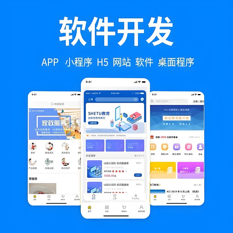 软件外包服务:推动企业数字化转型的新引擎